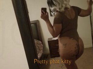 Pretty_phat_kitty
