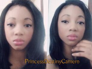 PrincessDestinyCamero