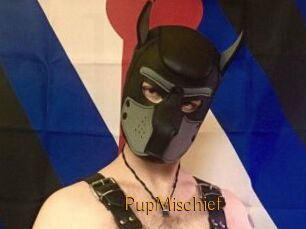 PupMischief