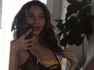 Paynadiavixen