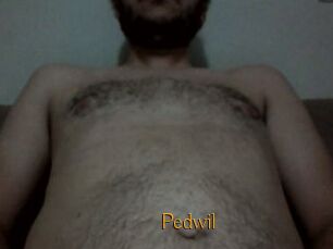 Pedwil