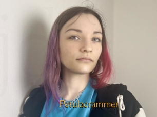 Petulacrammer