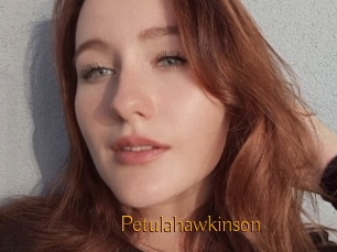 Petulahawkinson