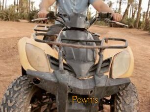 Pewnis
