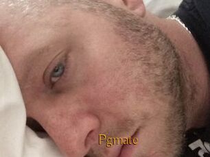 Pgmate