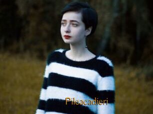 Pileacadieri