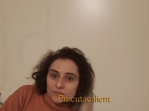 Pisicutacalient