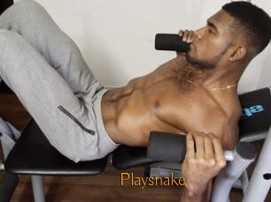 Playsnake