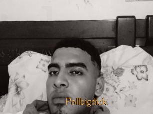 Pollbigdick
