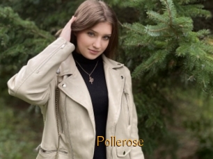 Pollerose