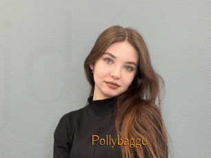 Pollybagge