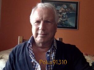 Polux91310