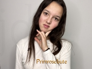 Primrosebute