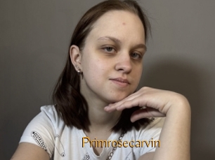 Primrosecarvin