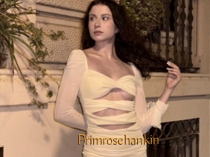 Primrosehankin