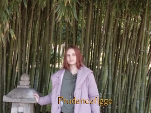 Prudencefigge