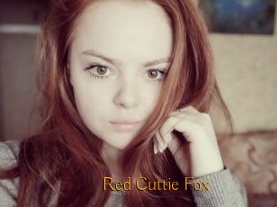 Red_Cuttie_Fox