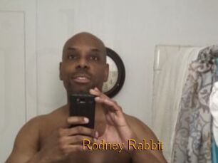 Rodney_Rabbit