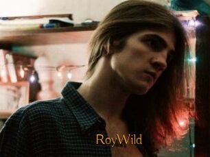 RoyWild