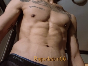 Rippedasian66