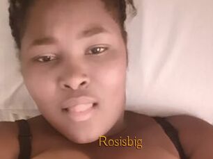 Rosisbig