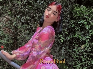 Rosselfinol