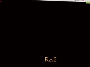 Rzs2