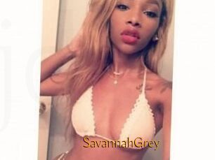 Savannah_Grey