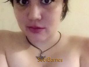 Sebi_Barnes