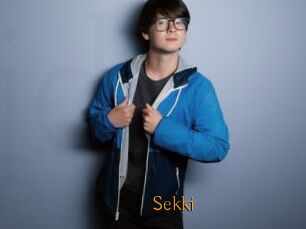 Sekki