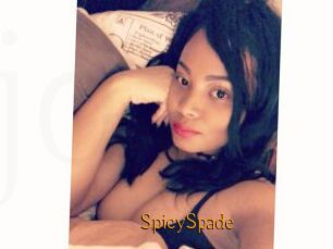 SpicySpade