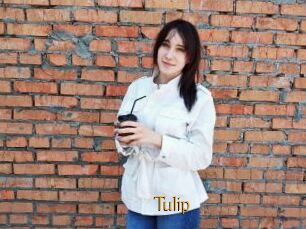Tulip