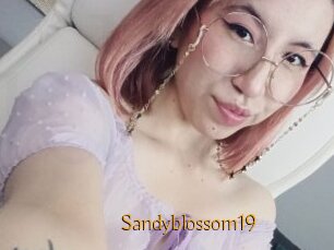 Sandyblossom19