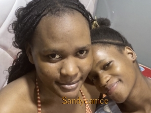 Sandycanice