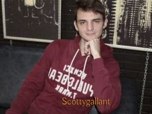 Scottygallant