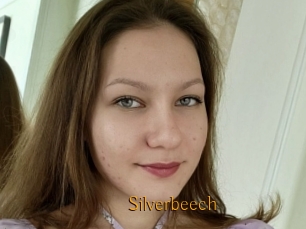 Silverbeech