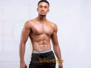 Silverdingo