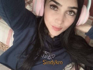 Sindykro