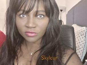 Skyleur