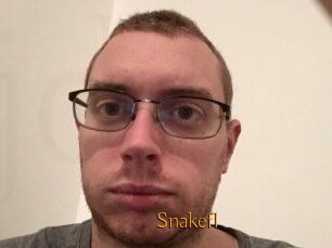 Snakefl