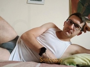 Sonicegay