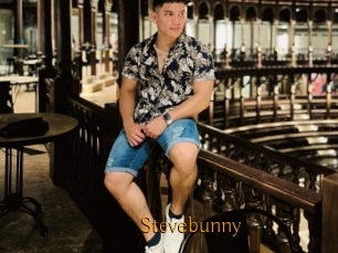 Stevebunny