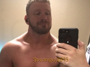 Streamguy8895