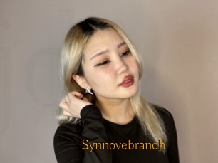 Synnovebranch