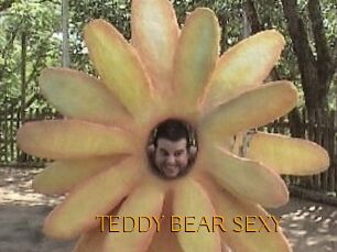 TEDDY_BEAR_SEXY