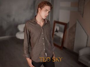 TEO_SKY