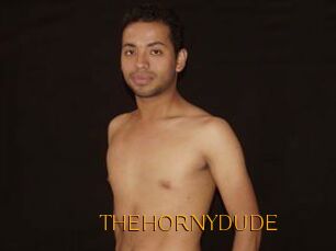 THEHORNYDUDE