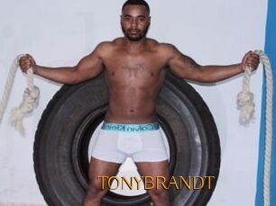 TONYBRANDT