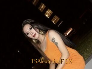 TSAlexandriaFOX
