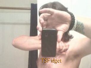 TSFidget